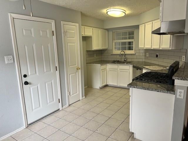 24010 Lone Elm Drive