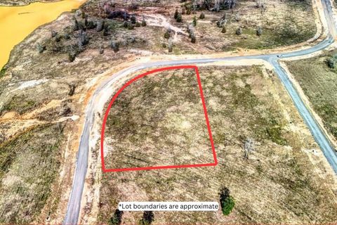 Photo of 0 Vintage Road, Livingston, TX 77351 (MLS # 3685290)