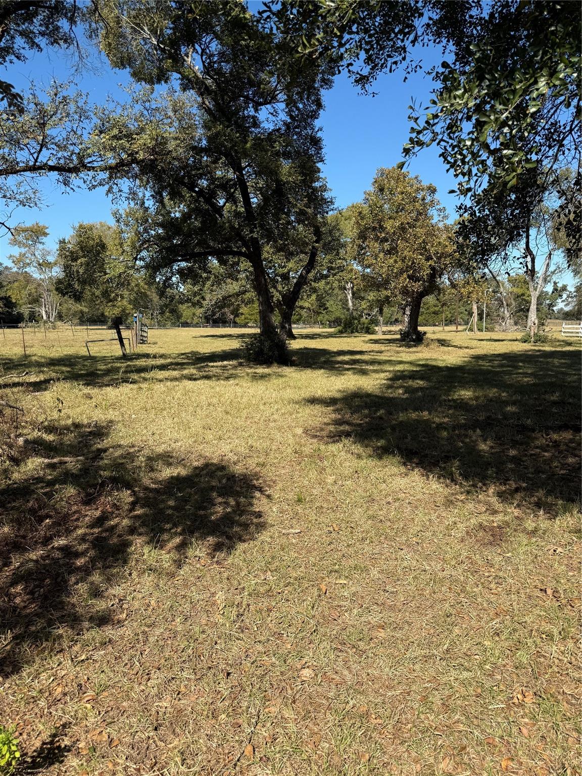 17897 County Road 431