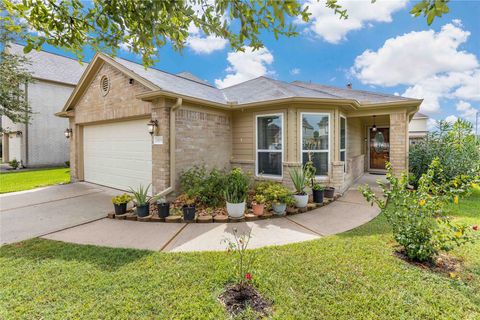 11031 Bauer Elm Street Houston TX 77044