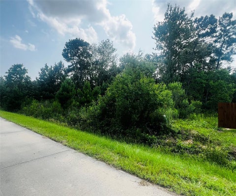 Vacant Land For Sale - 412 County Road 3411<br/> Cleveland, TX 77327
