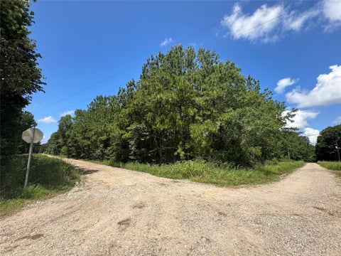 Photo of 120 Pioneer Trail, Livingston, TX 77351 (MLS # 35305183)