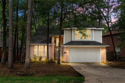 Photo of 39 W Tallowberry Drive, The Woodlands, TX 77381 (MLS # 59877580)