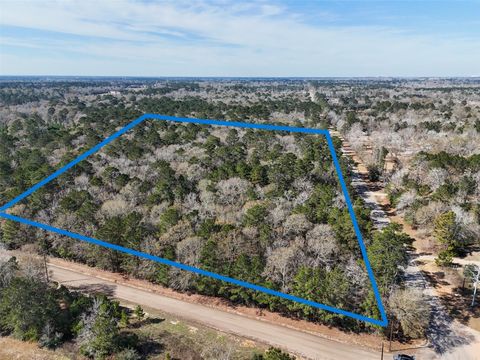 TBD County Line Rd Parcel 1 Willis TX 77318
