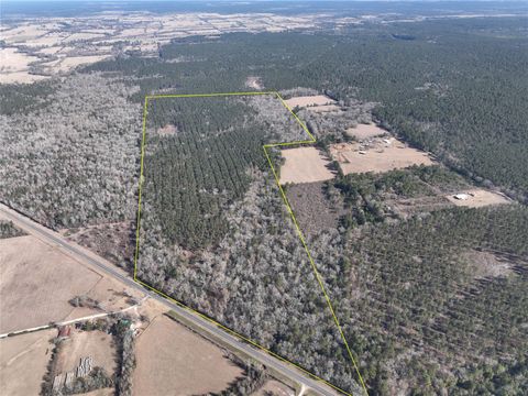 Vacant Land For Sale - 4 Highway 287<br/> Pennington, TX 75845