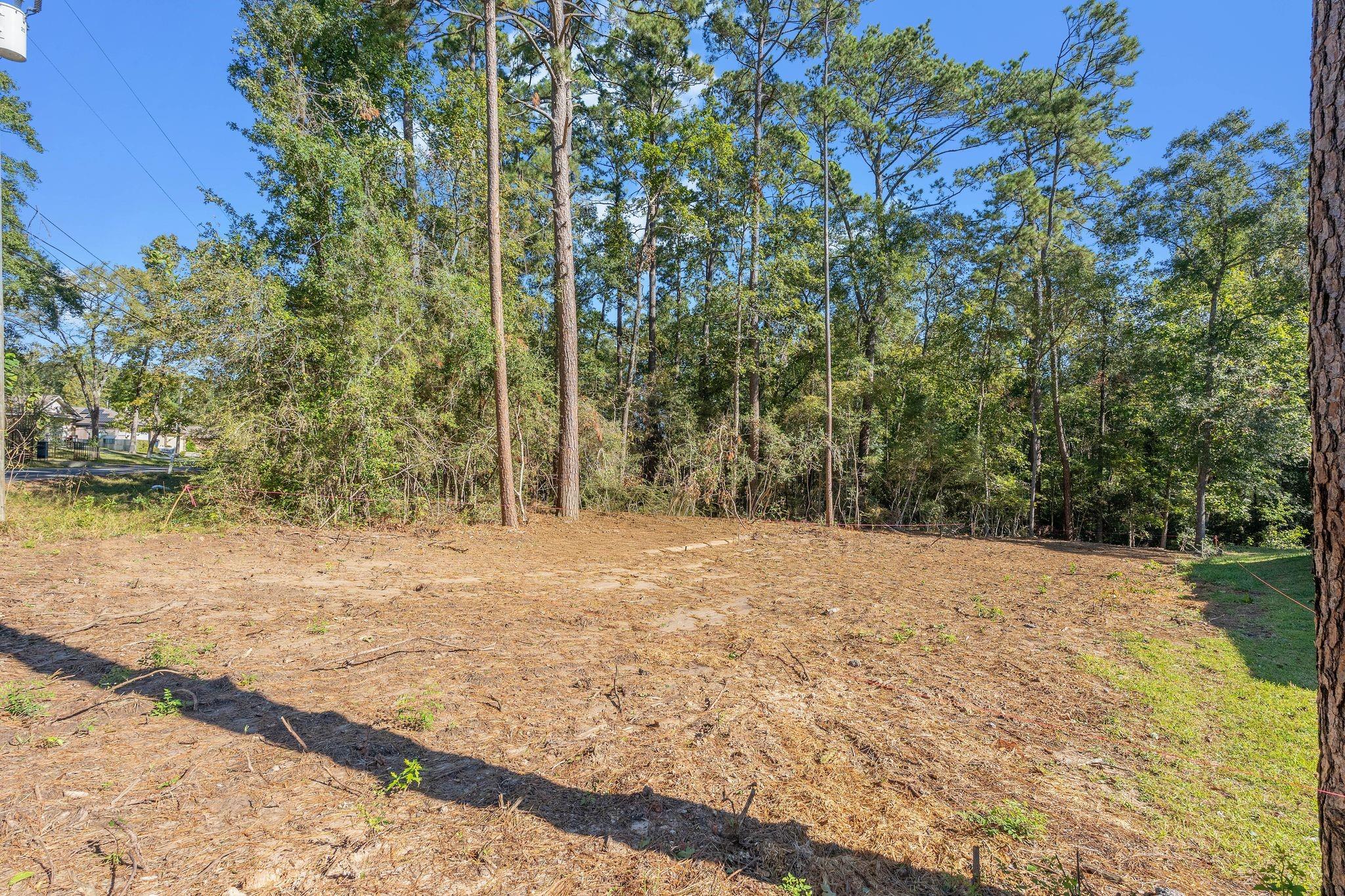 TBD Arrowhead Loop W