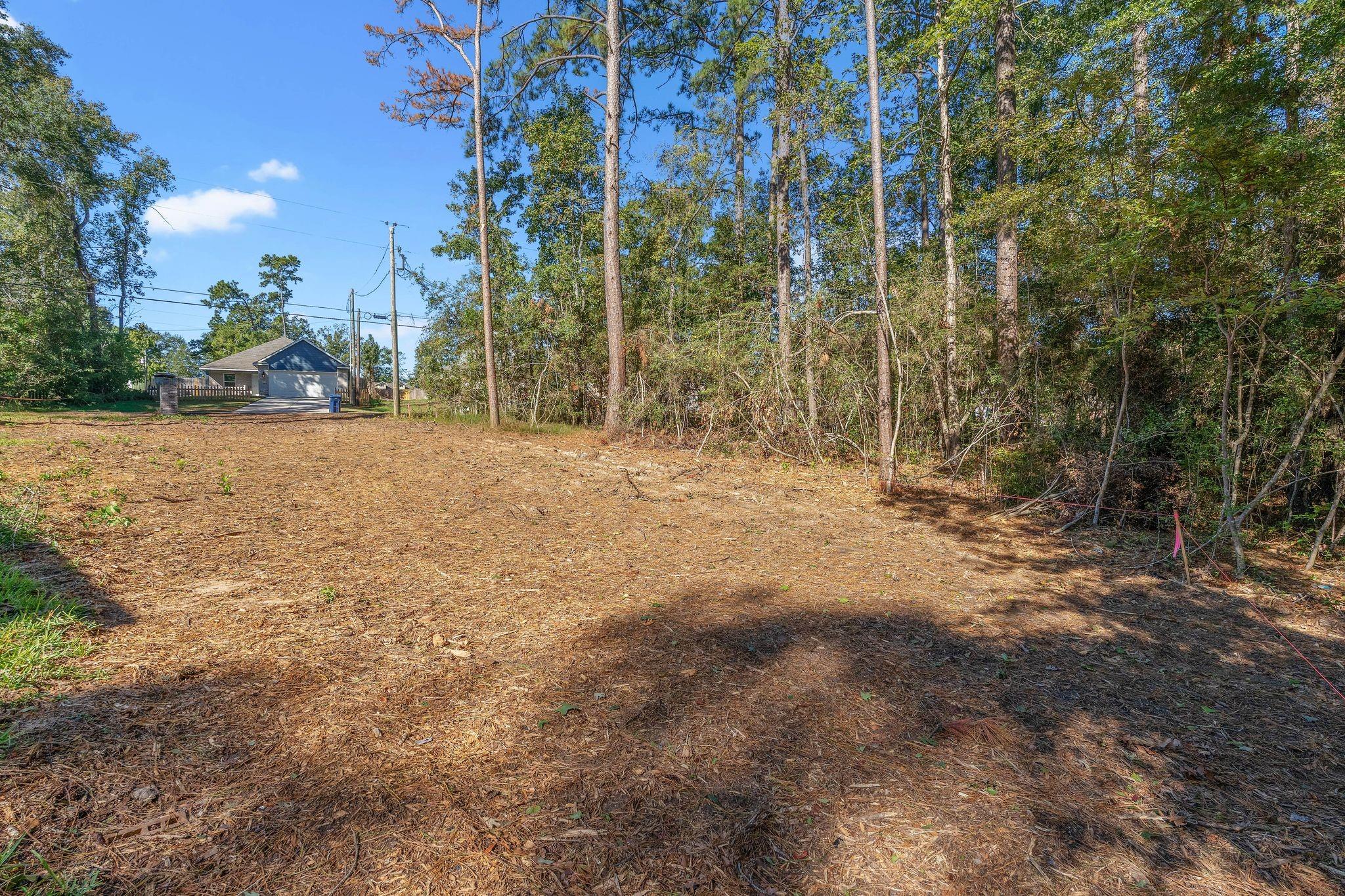 TBD Arrowhead Loop W