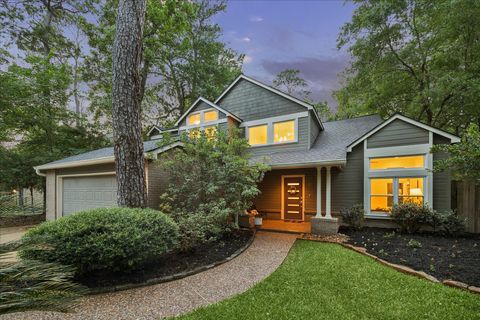 Photo of 11 Twisted Birch Place Court, The Woodlands, TX 77381 (MLS # 30062499)