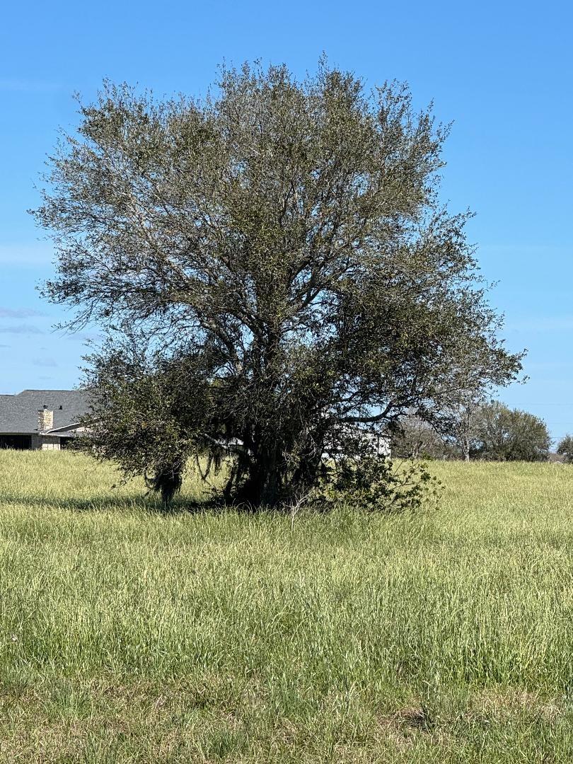 820 Chuckwagon Trail