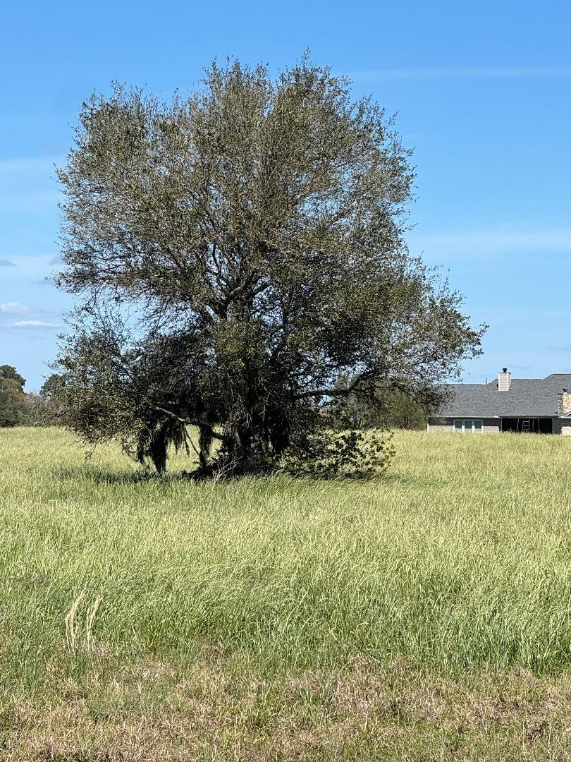 820 Chuckwagon Trail