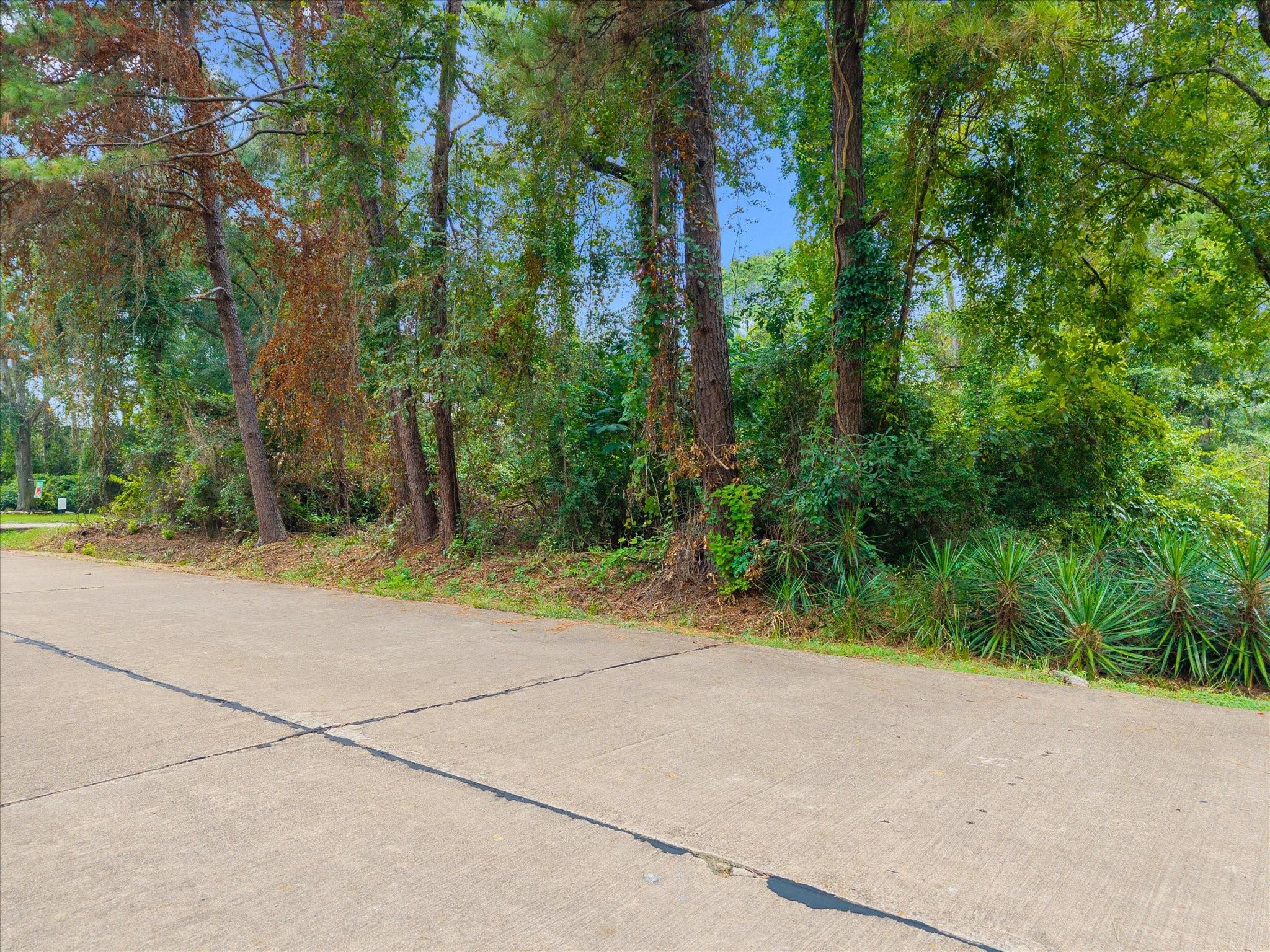 12623 Adams Run Drive