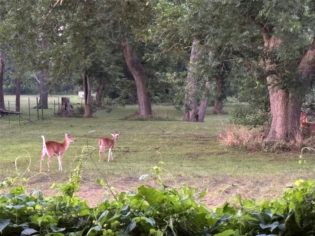 Photo of 2011 Miller Road #A, Rosharon, TX 77583 (MLS # 21218098)