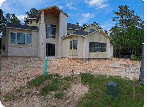Photo of 1750 Frito Court Ct, Todd Mission, TX 77316 (MLS # 50752653)