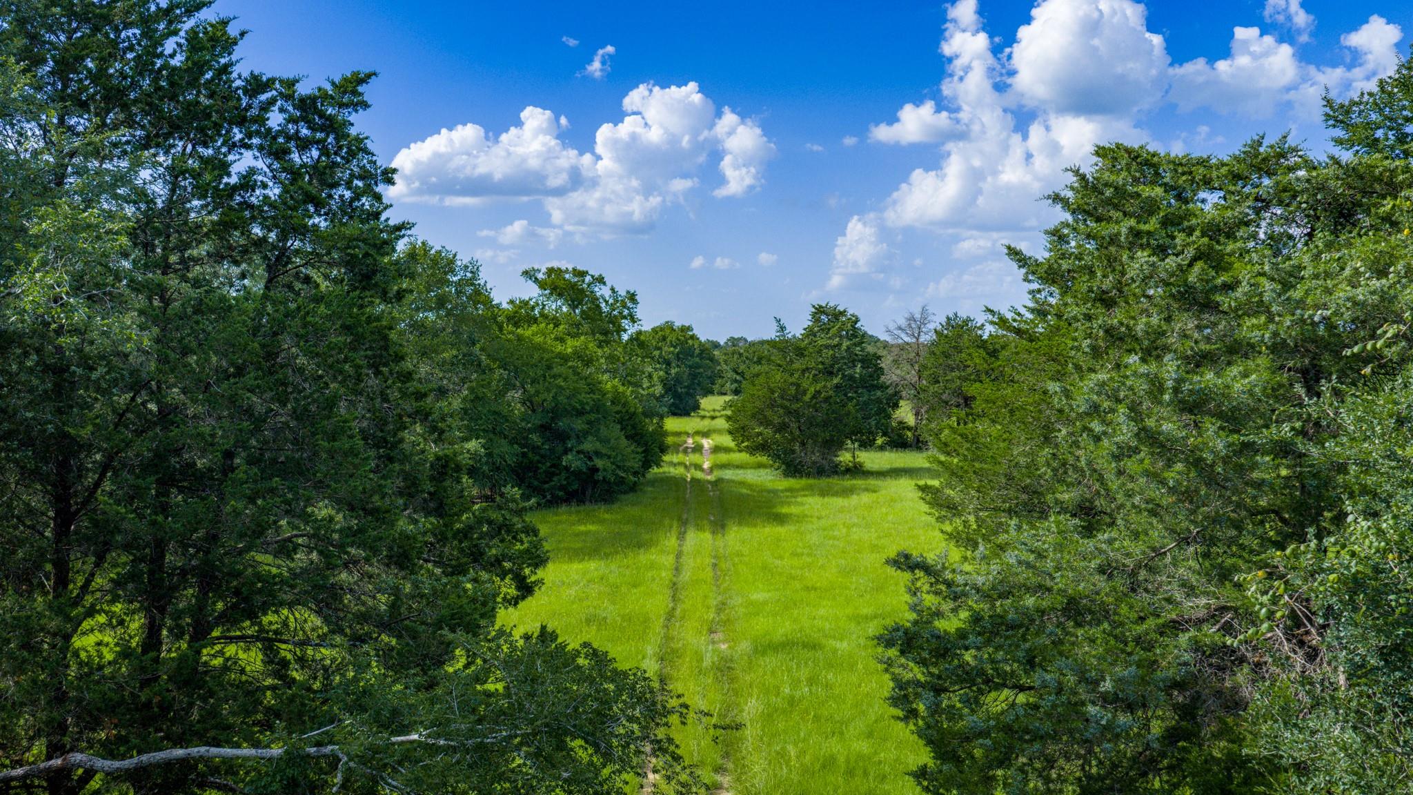+/-323 ac Ferrill Creek Road
