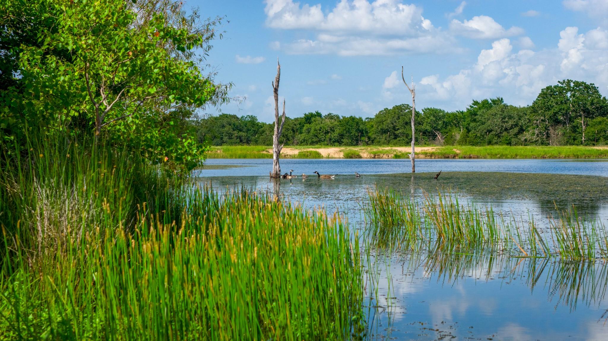 +/-323 ac Ferrill Creek Road