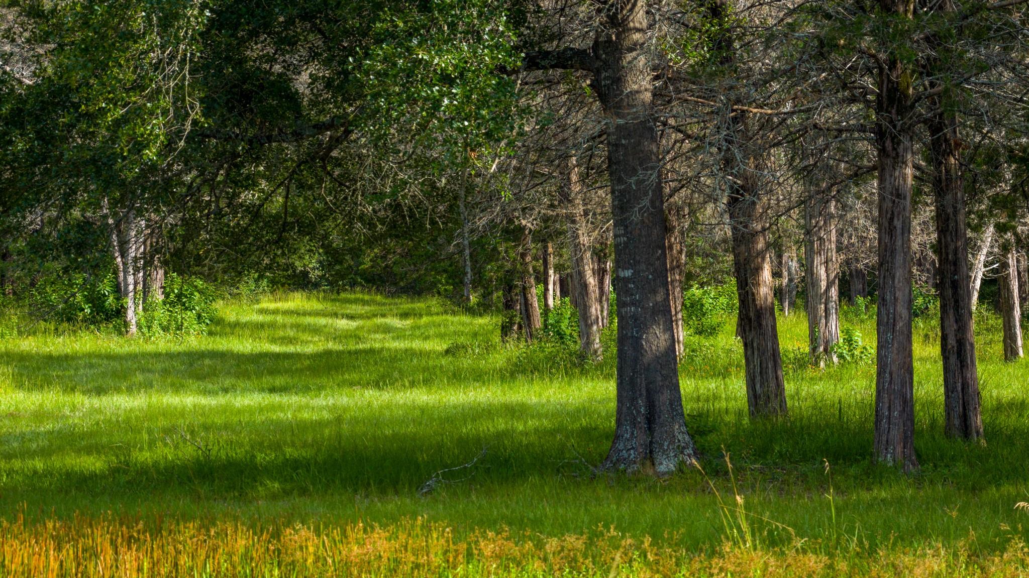 +/-323 ac Ferrill Creek Road