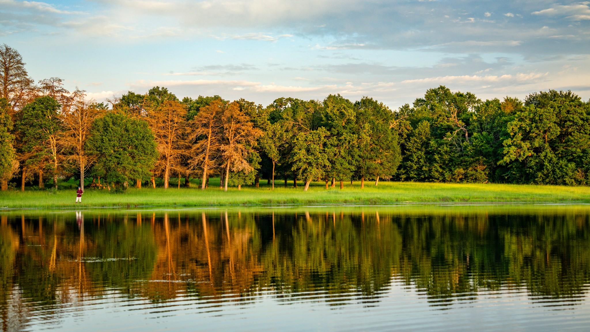 +/-323 ac Ferrill Creek Road