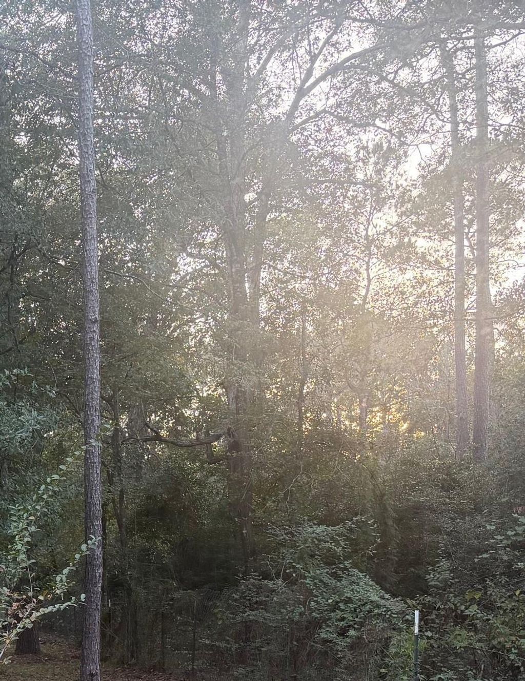 Photo of 19008 Nottingham Lane, New Caney, TX 77357 (MLS # 79314720)