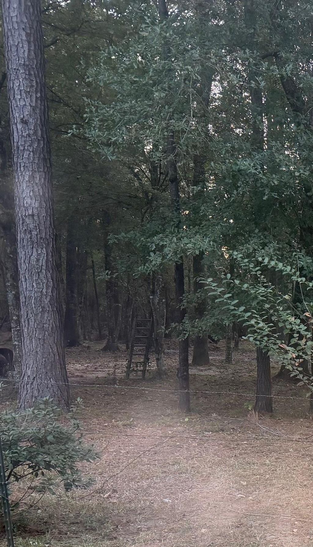 Photo of 19008 Nottingham Lane, New Caney, TX 77357 (MLS # 79314720)