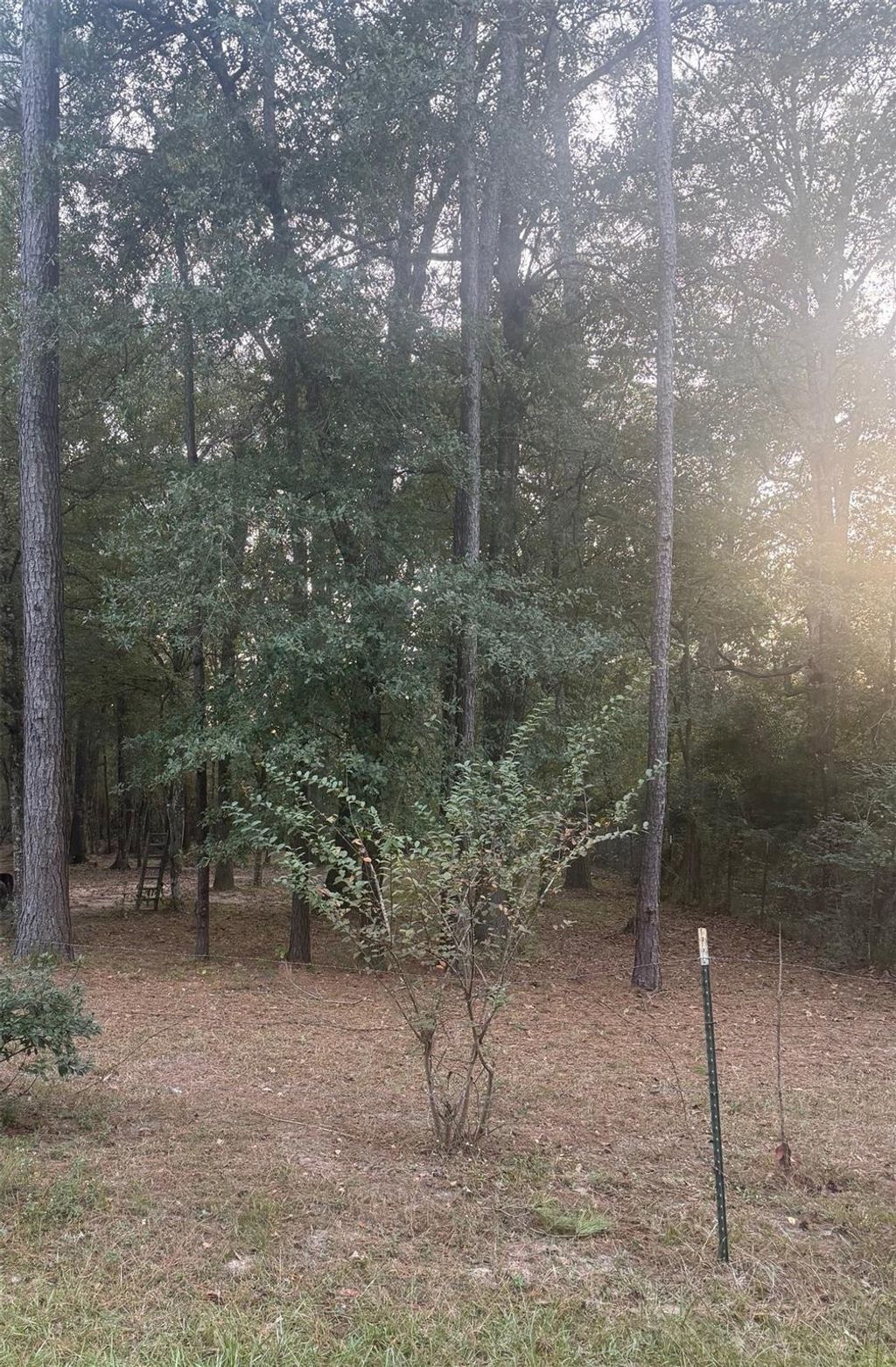 Photo of 19008 Nottingham Lane, New Caney, TX 77357 (MLS # 79314720)