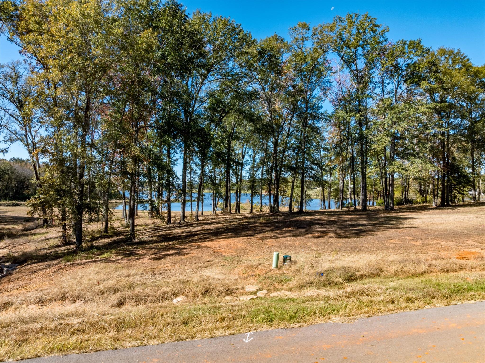 0 (lot 9) Carolina Drive