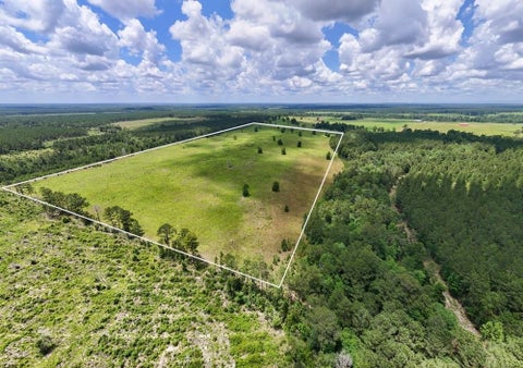 Photo of XXX Cr 1450, Warren, TX 77664 (MLS # 56747603)