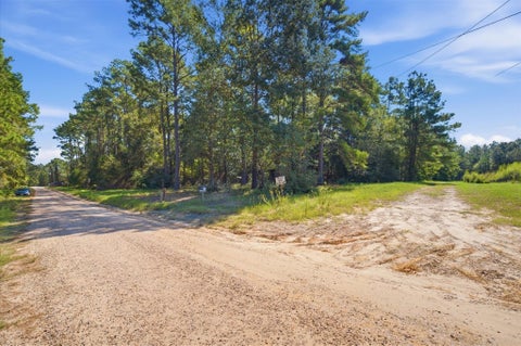 Photo of 326 Veteran Lane Lane, Livingston, TX 77351 (MLS # 60601229)