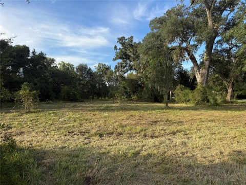 Vacant Land For Sale - County Road 678<br/> Brazoria County, Brazoria, TX 77486