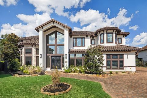 79 Amber Hollow Court Sugar Land TX 77479