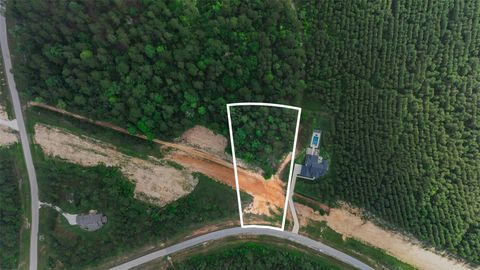 Photo of 15464 Forest Grove Drive, Willis, TX 77378 (MLS # 91473601)