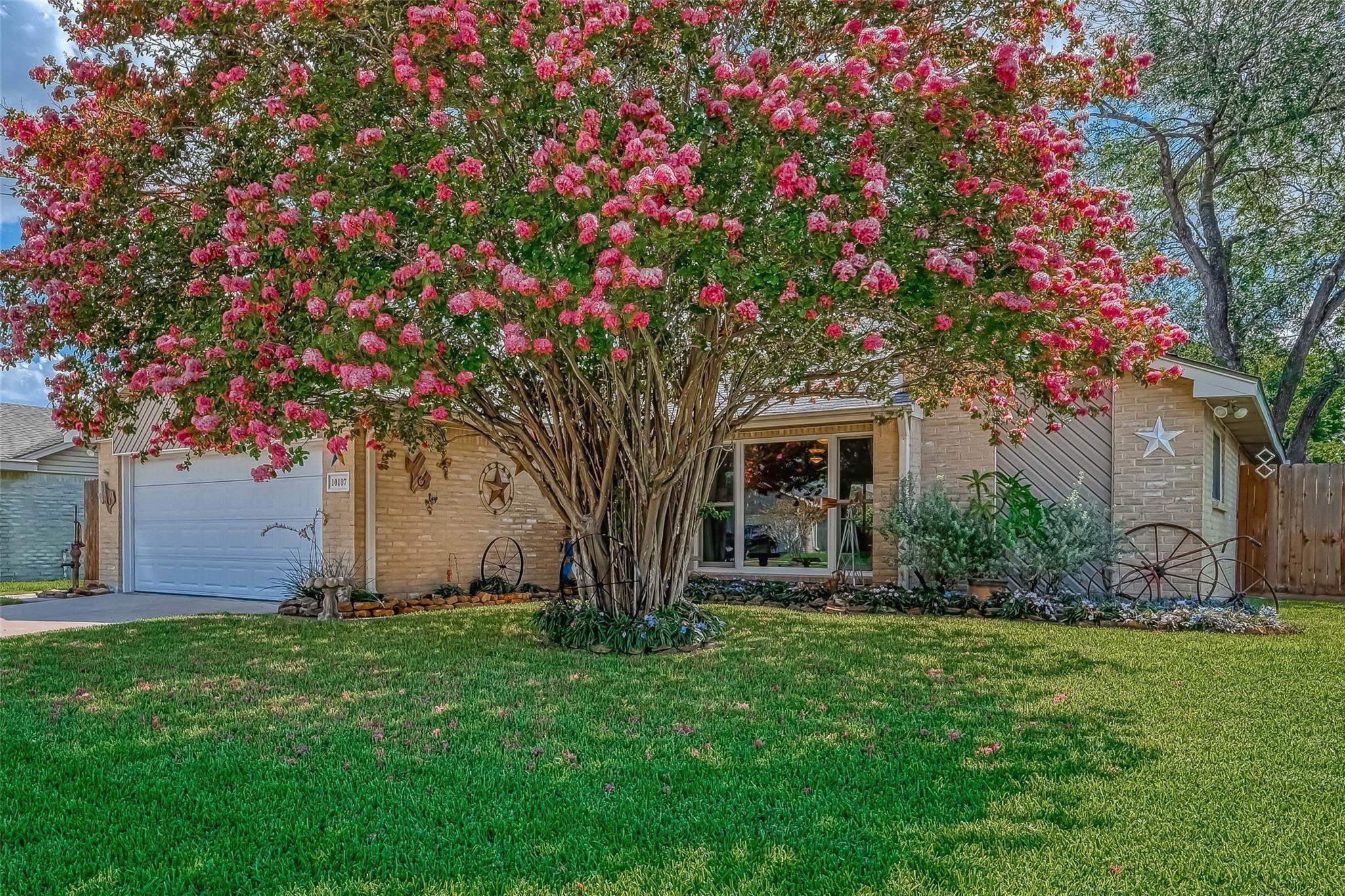 10107 Hollow Canyon Drive