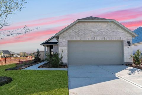 Photo of 239 Bay Laurel Court, Alvin, TX 77511 (MLS # 38423660)