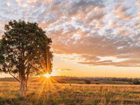 Vacant Land For Sale - LOT 66 121 Oak Hollow Court<br/> Cat Spring, TX 78933