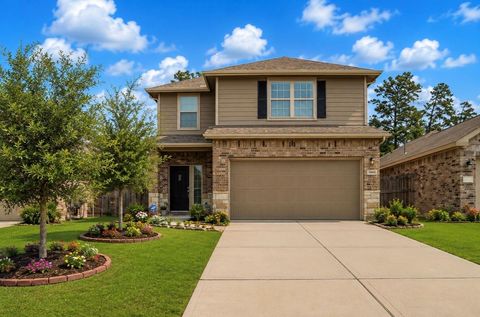 Photo of 18972 Cicerone Court, New Caney, TX 77357 (MLS # 74494680)