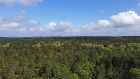 Photo of 1648 Timber Road 23 N, Chester, TX 75936 (MLS # 84925729)