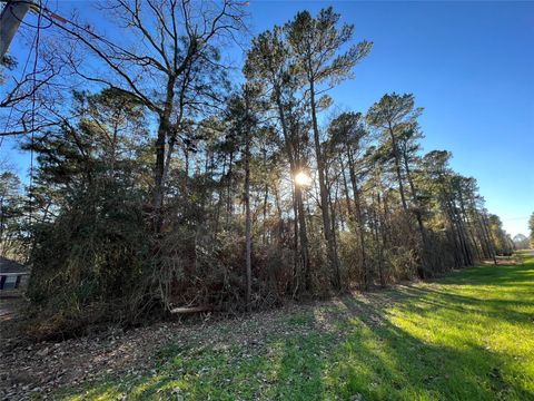 Photo of 290 Greenbriar Drive, Magnolia, TX 77355 (MLS # 10542369)