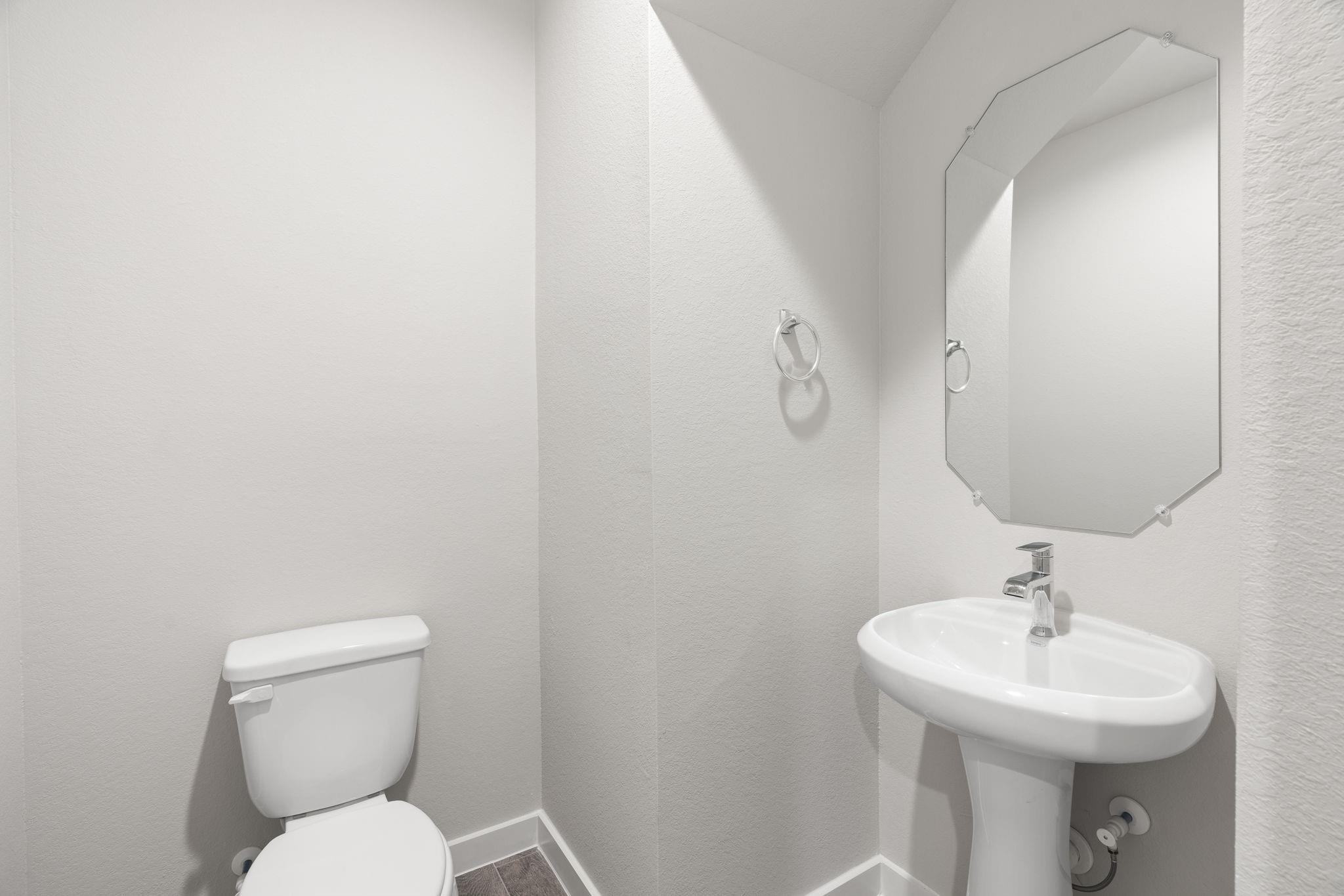 15203 Statice Trail