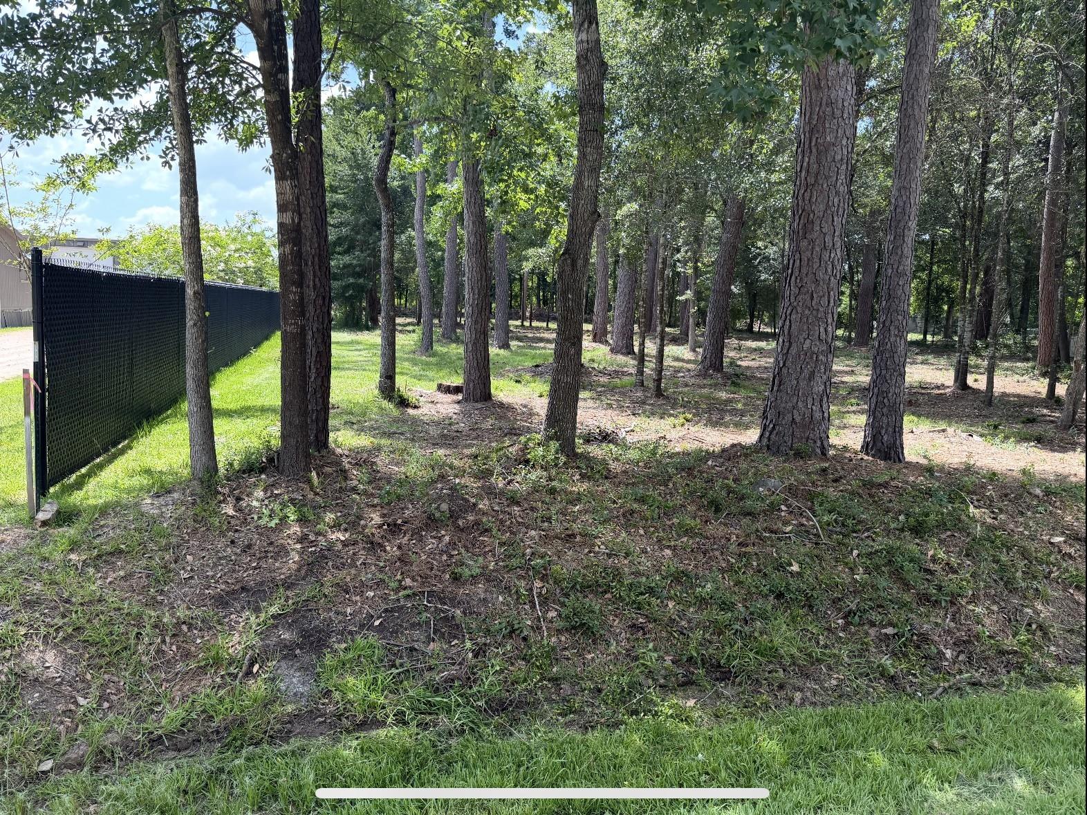 0 Bear Branch