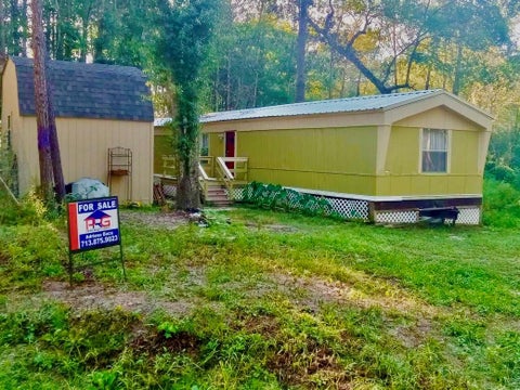 Photo of 174 Dillon, Dallardsville, TX 77332 (MLS # 74774405)