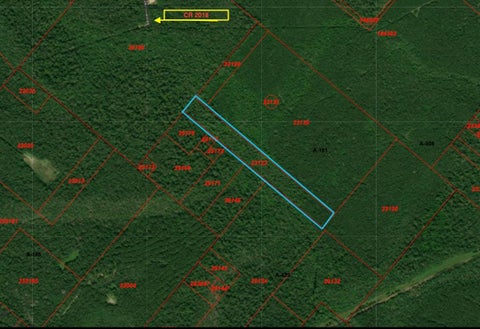 Vacant Land For Sale - County Road 190<br/> Liberty County, Raywood, TX 77582