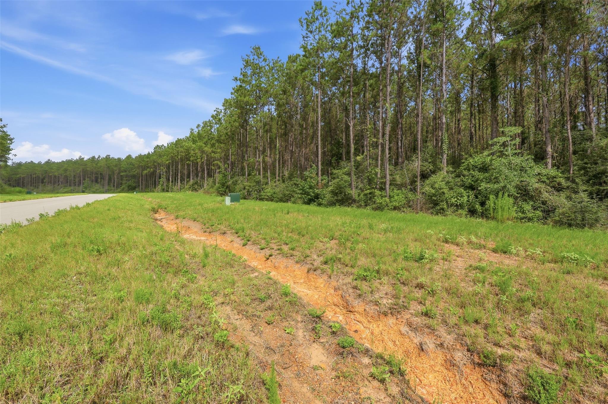 16030 Forest Mill Road
