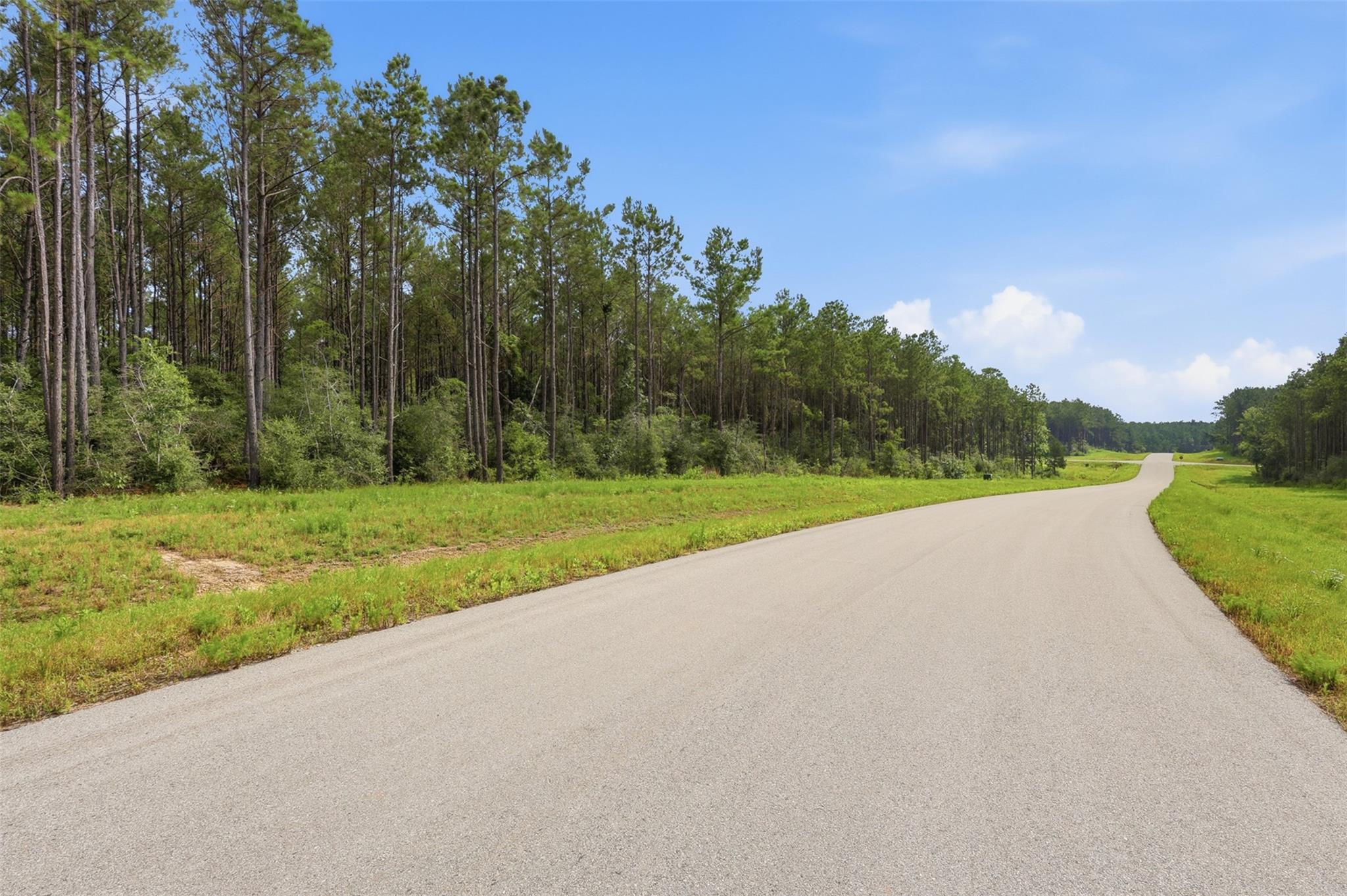 16030 Forest Mill Road