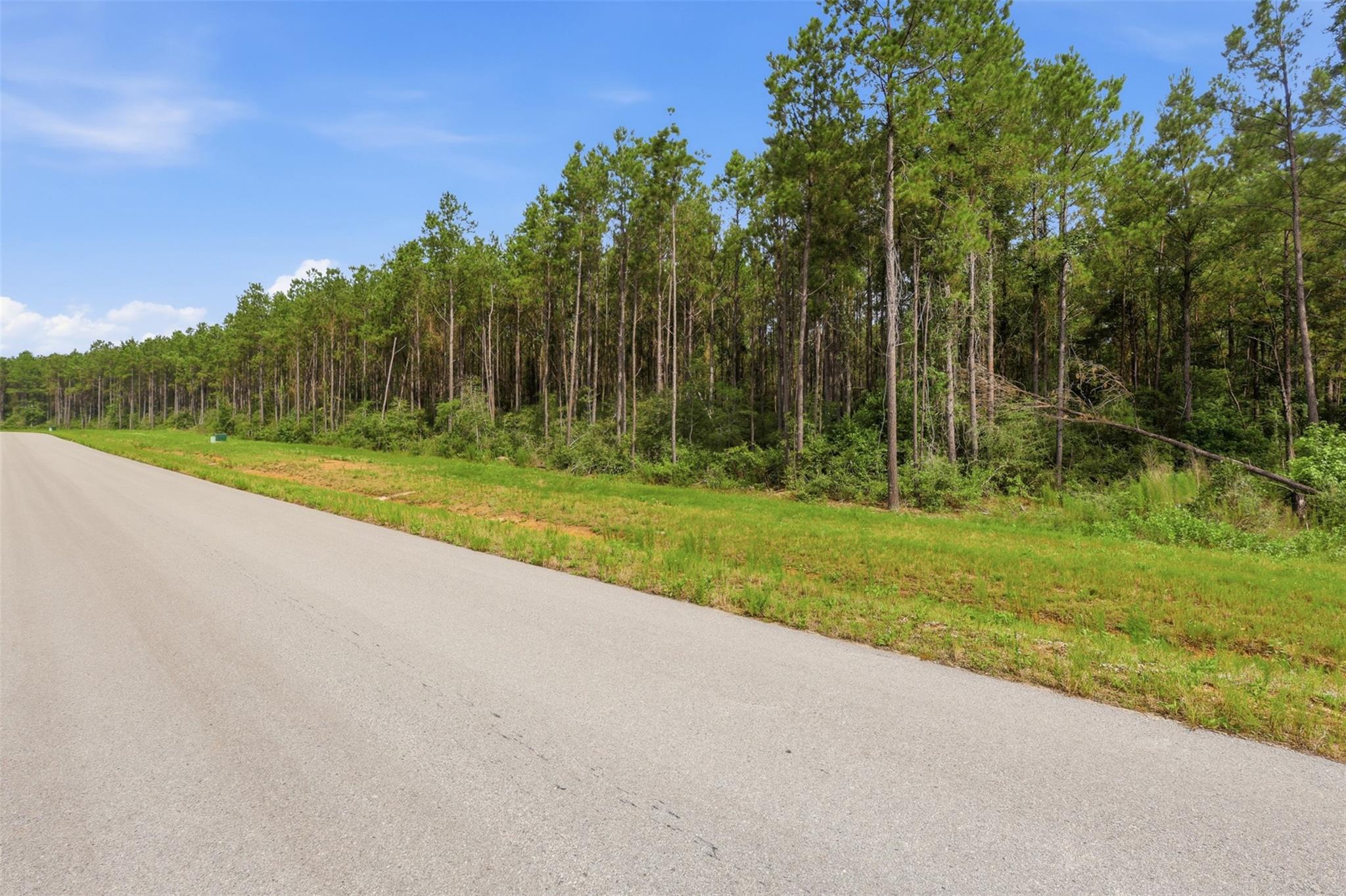 16030 Forest Mill Road
