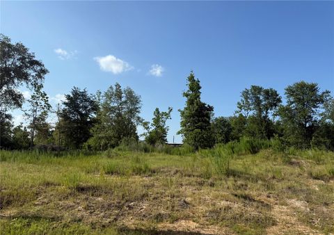 Vacant Land For Sale - 7202 Road 5914-02<br/> Liberty County, Cleveland, TX 77327