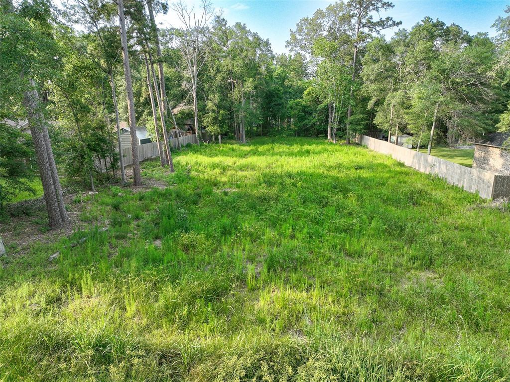 Photo of 2764 Fountain View Street, Roman Forest, TX 77357 (MLS # 89963075)