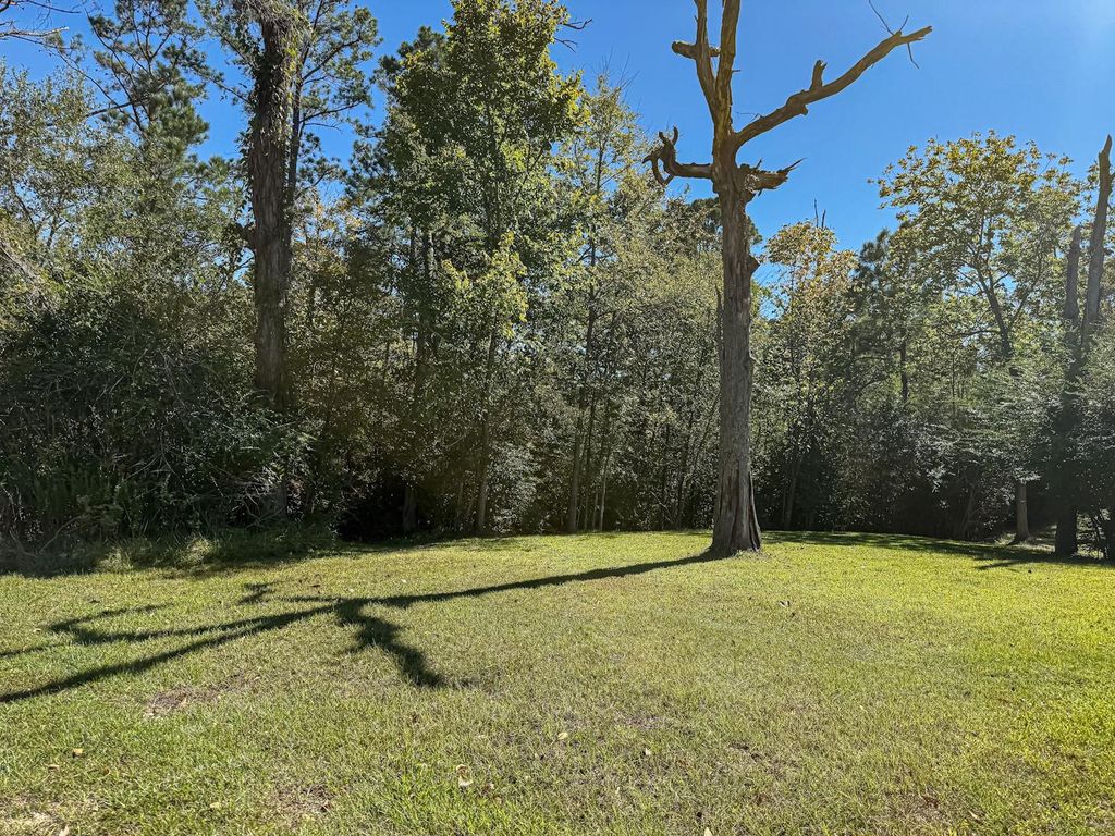 Photo of 142 W Hickory Cove, Onalaska, TX 77360 (MLS # 94610761)