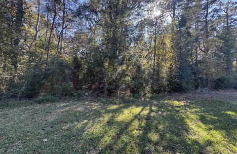 Photo of TBD Hunters Trail, New Caney, TX 77357 (MLS # 64206326)