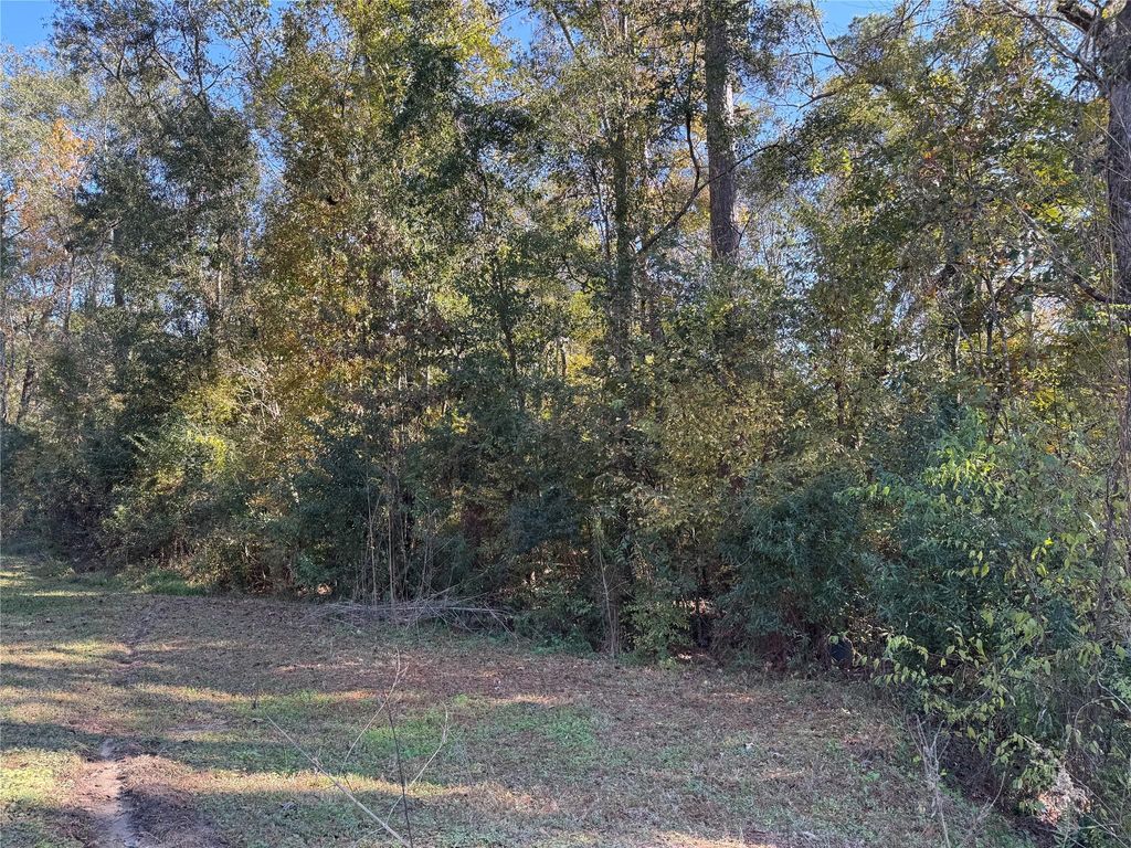 Photo of TBD Hunters Trail, New Caney, TX 77357 (MLS # 64206326)