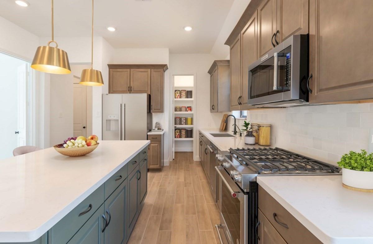 2207 Grapewood Lane