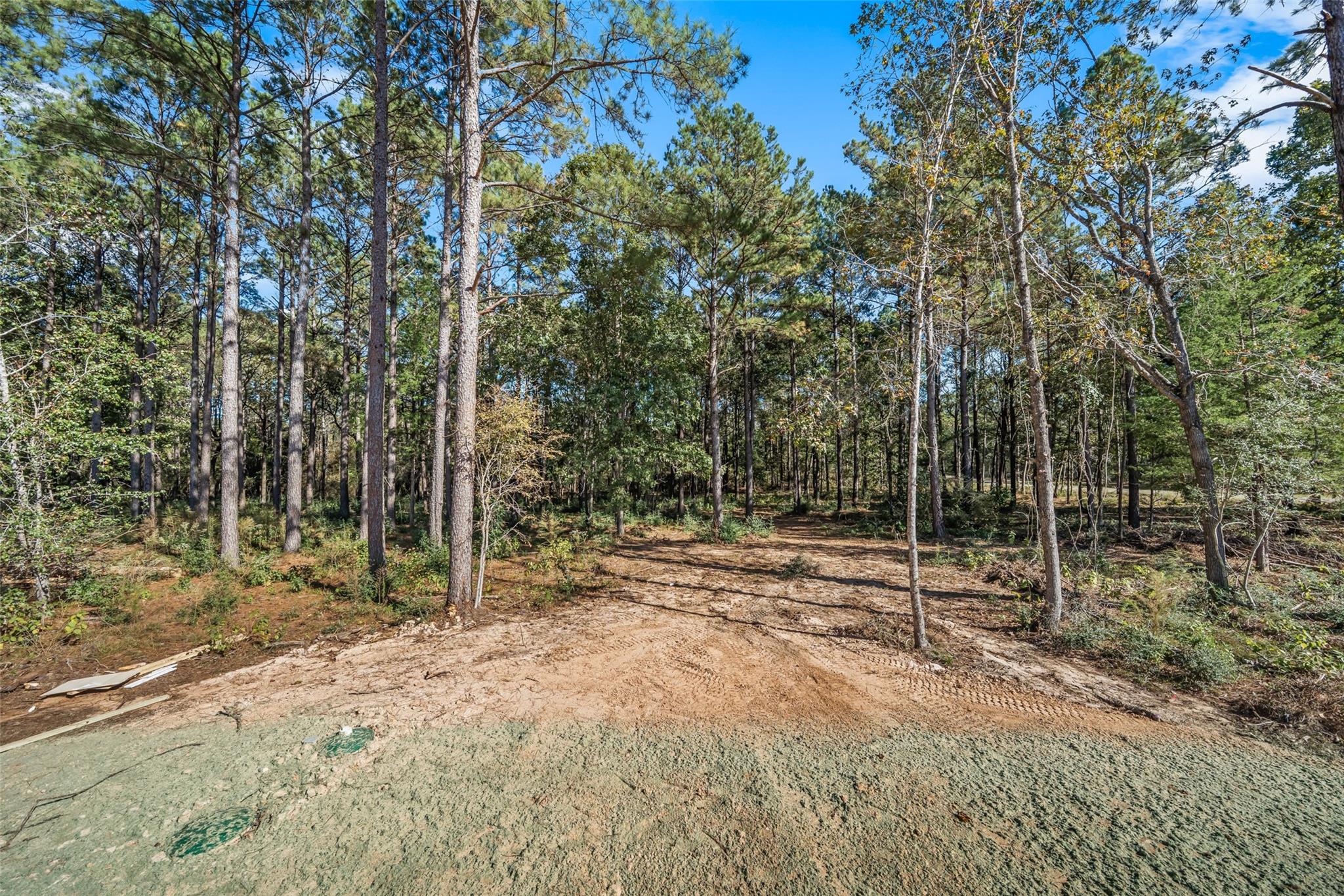 11332 Annie Creek Drive